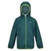 Regatta Great Outdoors Childrens/Kids Lever II Packaway Rain Jacket (Pacific Green)
