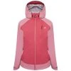 Dare 2b Womens/Ladies Veritas Era Recycled Waterproof Jacket (Earth Rose/Mesa Rose)