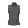 Regatta Womens/Ladies Flux Soft Shell Bodywarmer (Seal Grey/Seal Grey)