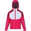 Regatta Childrens/Kids Acidity IV Reflective Hooded Softshell Jacket (Duchess