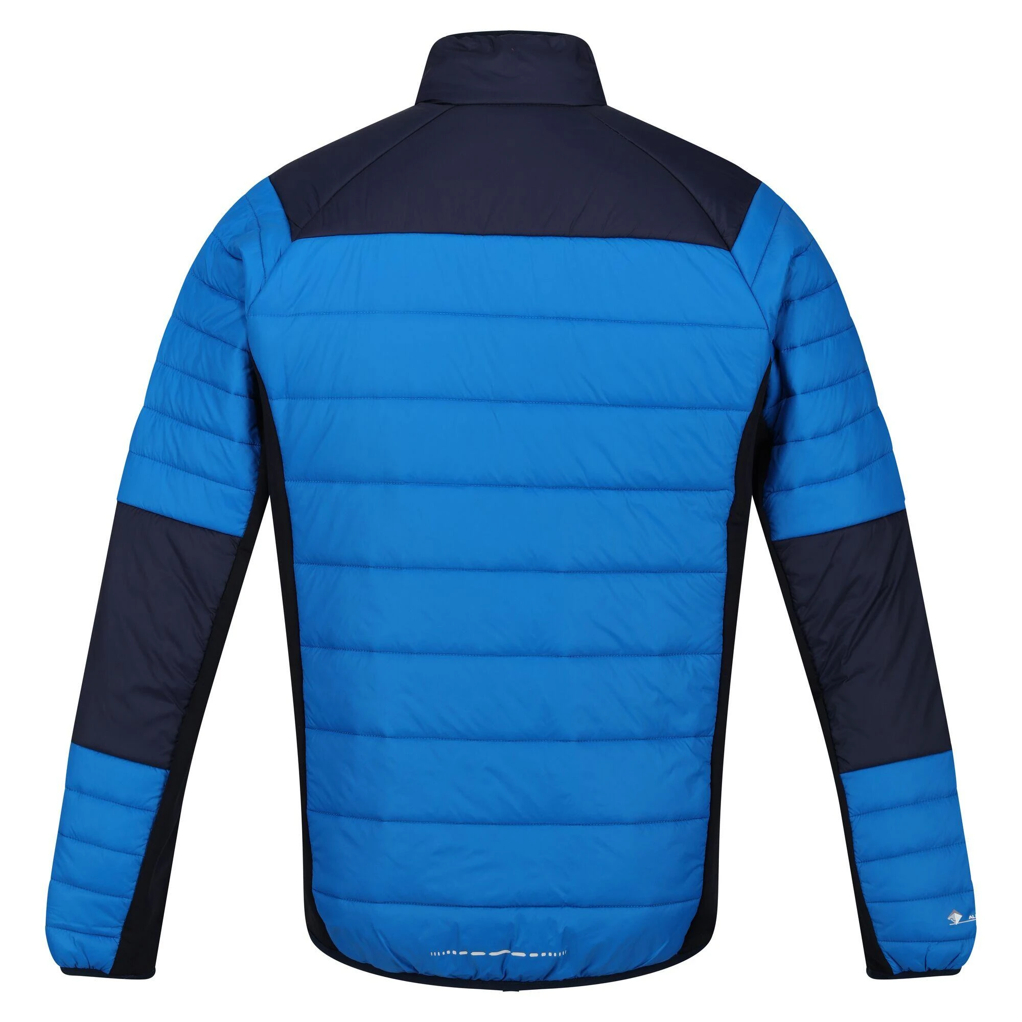 Regatta Men's Halton VI Softshell Jacket 11 Regatta Men's Halton VI Softshell Jacket - Image 9