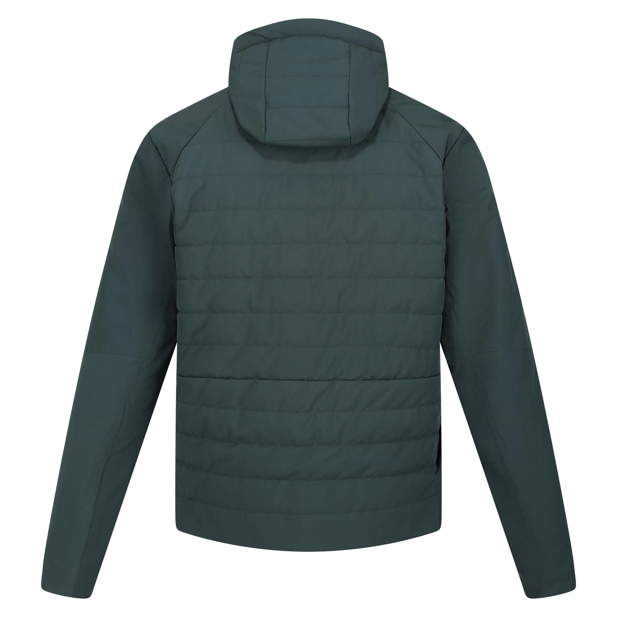 Regatta Daxford Men's Walking Jacket 16 Regatta Daxford Men's Walking Jacket - Image 14