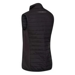 Regatta Womens/Ladies Halton V Softshell Body Warmer (Black/Ash) -jacket shop k670d0fef2f9af32f89c61e3a19439728