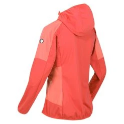 Regatta Tarvos IV Women's Hiking Softshell Jacket -jacket shop k906e57d52ce3f572c45ddef0f0de27cc