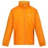 Regatta Mens Lyle IV Waterproof Hooded Jacket (Flame Orange)